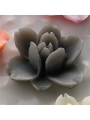 Whimsey Lotus Bloom- Gray